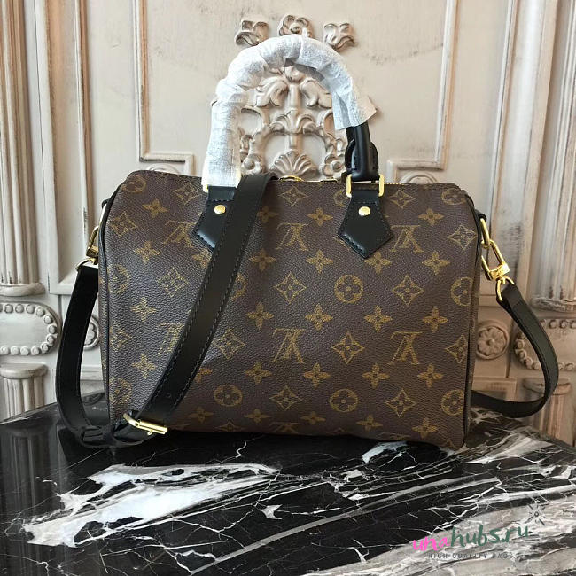 Louis Vuitton SPEEDY 25 - 1