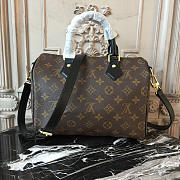 Louis Vuitton SPEEDY 25 - 1