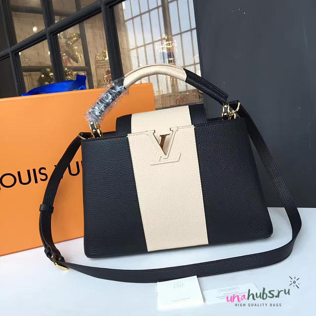 Louis Vuitton CAPUCINES 3455 - 1