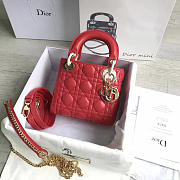 Lady Dior mini 1546 - 1