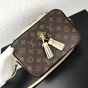 Louis Vuitton Monogram SAINTONGE M43559 - 1