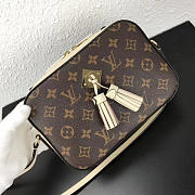 Louis Vuitton Monogram SAINTONGE M43559 - 2