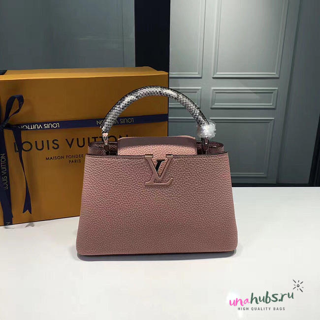 LOUIS VUITTON CAPUCINES 3453 - 1