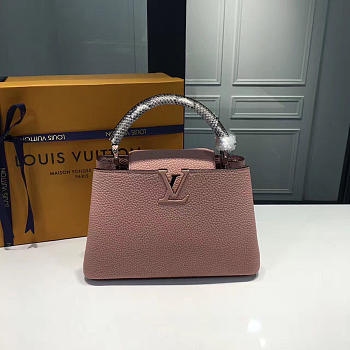 LOUIS VUITTON CAPUCINES 3453