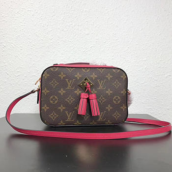 Louis Vuitton Monogram SAINTONGE M43557