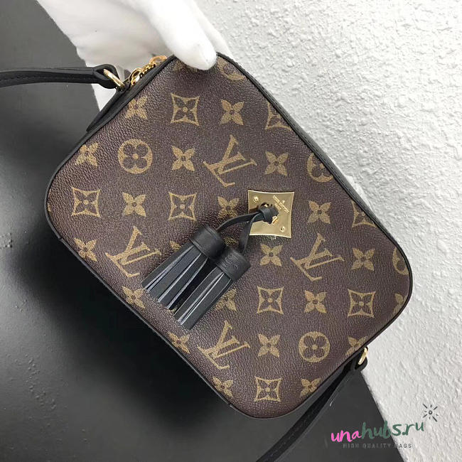 Louis Vuitton Monogram SAINTONGE M43555 - 1