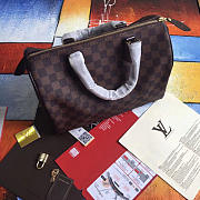 LOUIS VUITTON SPEEDY 30 3119 - 3