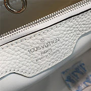 LOUIS VUITTON CAPUCINES 3469 - 4