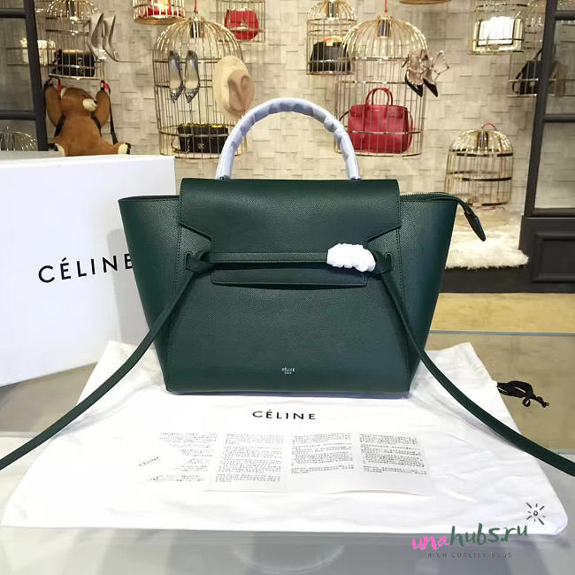 Celine Belt bag 1196 - 1