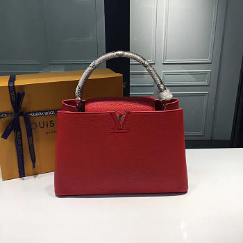 LOUIS VUITTON CAPUCINES 3680