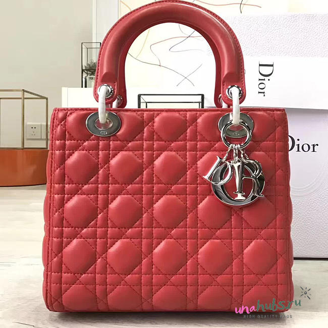 Lady Dior 1579 - 1