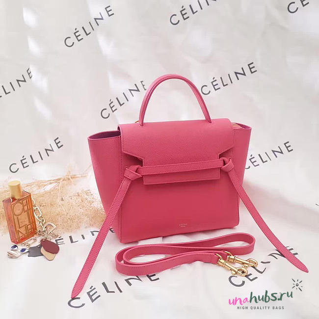 Celine Belt bag 1176 - 1