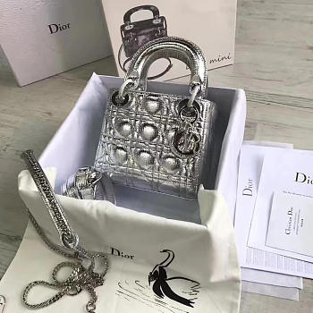 Lady Dior mini 1556