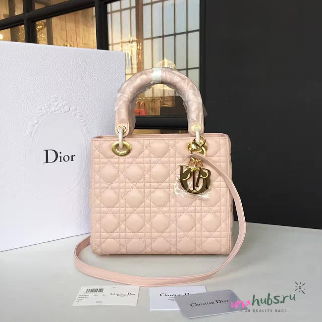 Lady Dior 1621 - 1