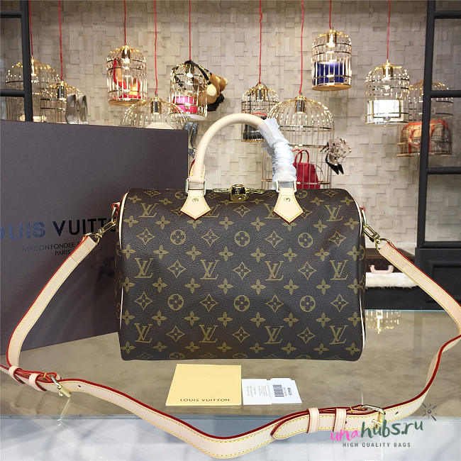 LOUIS VUITTON SPEEDY 30 3113 - 1