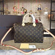 LOUIS VUITTON SPEEDY 30 3113 - 1