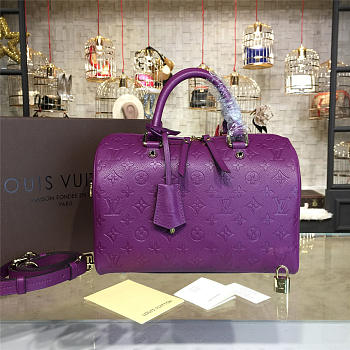 LOUIS VUITTON SPEEDY 30 3116