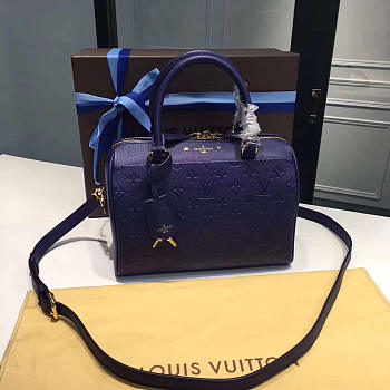 LOUIS VUITTON SPEEDY 25 3828