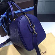 LOUIS VUITTON SPEEDY 25 3828 - 2