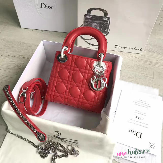 Lady Dior mini 1553 - 1