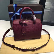 LOUIS VUITTON SPEEDY 25 3808 - 1