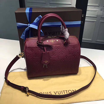 LOUIS VUITTON SPEEDY 25 3808