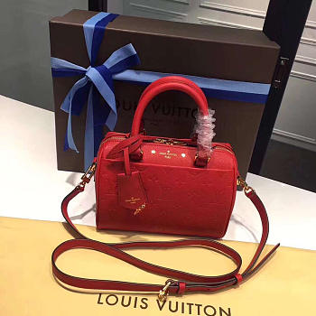 LOUIS VUITTON SPEEDY 20 3816