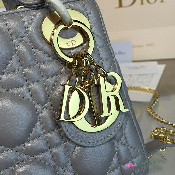 Mini Lady Dior - unahubs.ru