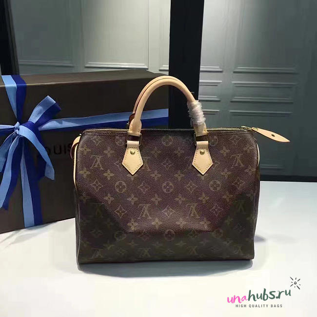 LOUIS VUITTON SPEEDY 30 3104 - 1