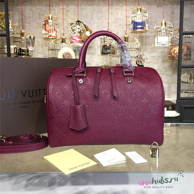 LOUIS VUITTON SPEEDY 30 3117 - 1