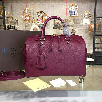 LOUIS VUITTON SPEEDY 30 3117