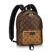 Louis Vuitton M43116 Palm Springs Backpack MM Monogram Canvas - 1