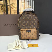 Louis Vuitton M43116 Palm Springs Backpack MM Monogram Canvas - 2