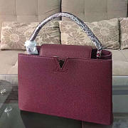 LOUIS VUITTON CAPUCINES 3454 - 1