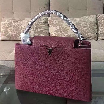 LOUIS VUITTON CAPUCINES 3454