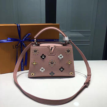 LOUIS VUITTON CAPUCINES 3669