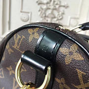 Louis Vuitton Speedy 3683 - 6