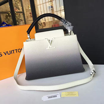 Louis Vuitton CAPUCINES 3458