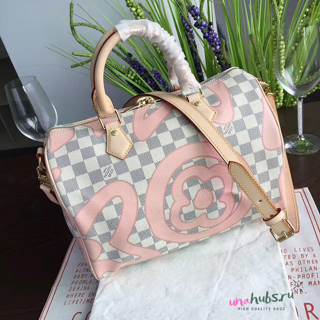 Louis Vuitton speedy - 1