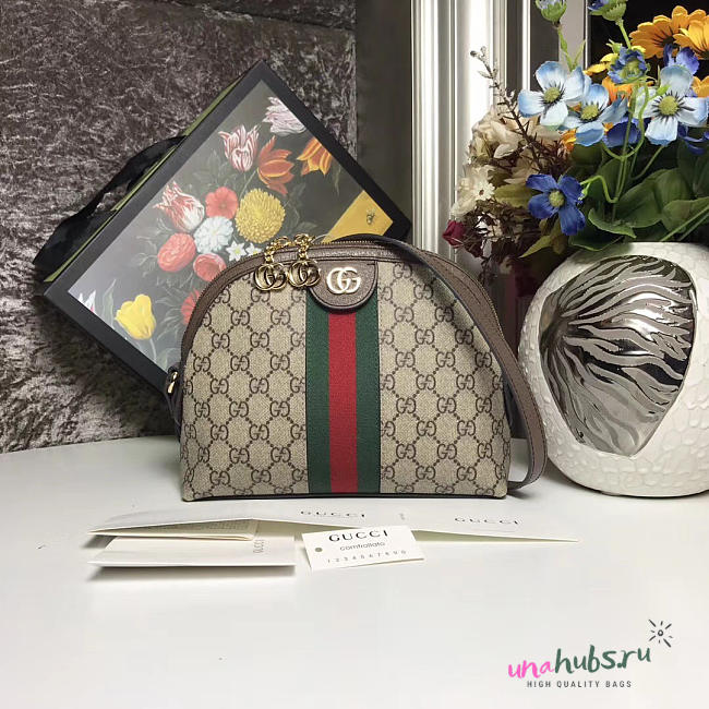 Gucci Ophidia Bag 2628 - 1