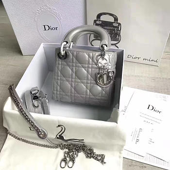 Lady Dior mini 1557