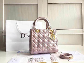 Lady Dior 1564