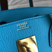 Hermes birkin 2950 - 6