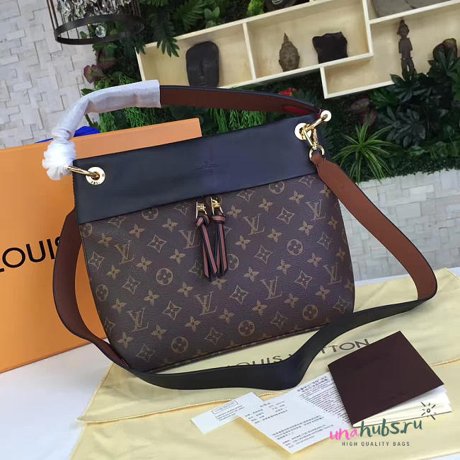 Louis Vuitton TUILERIES BESACE 3056 - 1