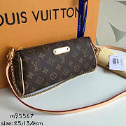 Louis Vuitton EVA 3636 - 1