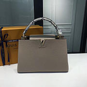 LOUIS VUITTON CAPUCINES 3674 - 1