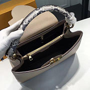 LOUIS VUITTON CAPUCINES 3674 - 6