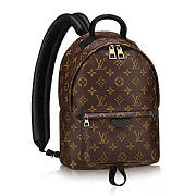 Louis Vuitton M41560 Palm Springs Backpack MM Monogram Canvas - 1