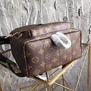 Louis Vuitton M41560 Palm Springs Backpack MM Monogram Canvas - 2