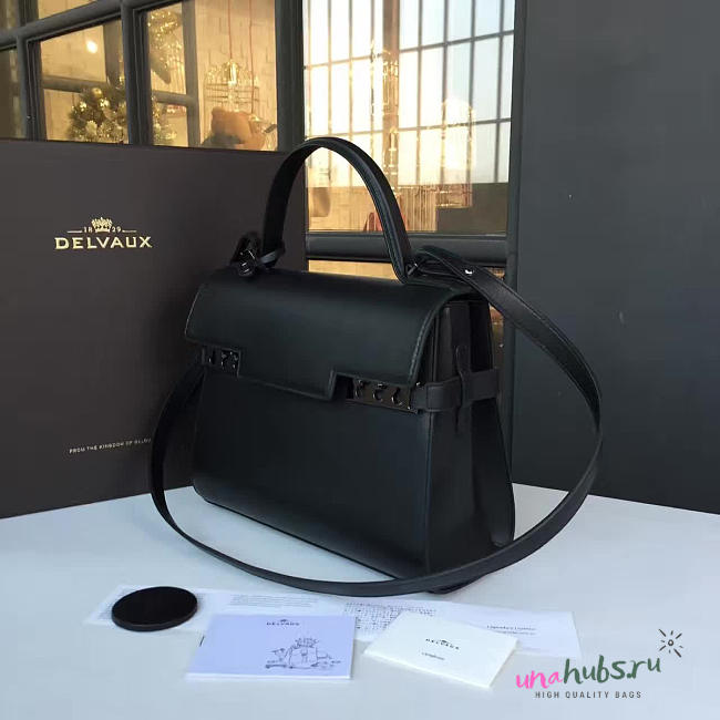 Delvaux Handbag - 1